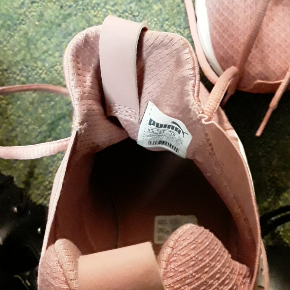 Pumas - Picture 3 of 3